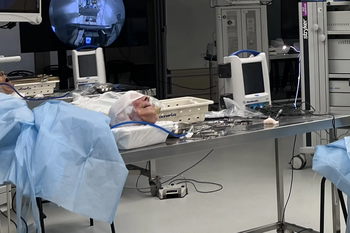 Dissecção em peça anatômica Fresh Frozen
